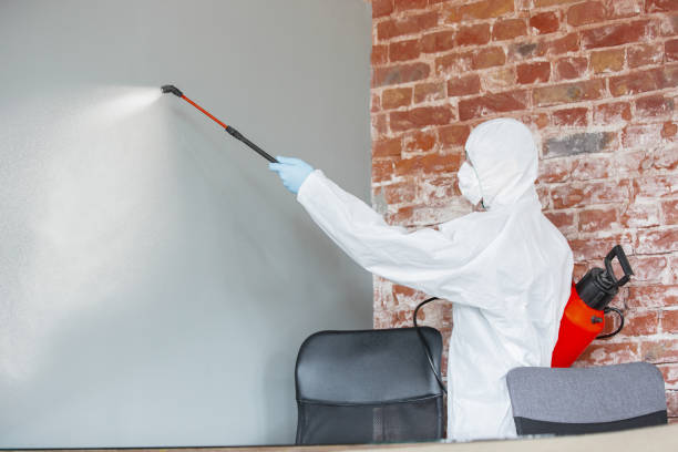 Best Mold Documentation for Insurance Claims  in Snoqualmie, WA