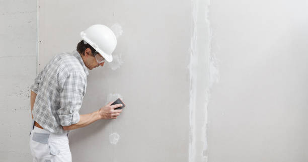 Best Mold Removal for HVAC Installations  in Snoqualmie, WA