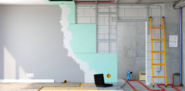 Best HVAC Mold Inspection and Cleaning  in Snoqualmie, WA