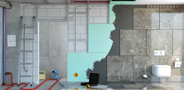 Best Basement Mold Removal  in Snoqualmie, WA